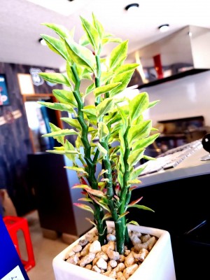 20190704_144130.jpg